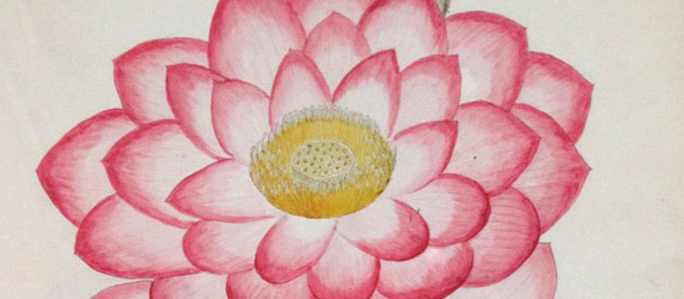 Detail of a drawing from the William Roxburg Collection at the Botanical Survey of India, Kolkata